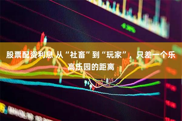 股票配资利息 从“社畜”到“玩家”，只差一个乐高乐园的距离